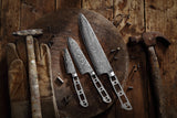 [2025 NEW] AUS-10 Damascus 3-Piece Chef Knife Blank Set, Falcon Series  [No Logo]